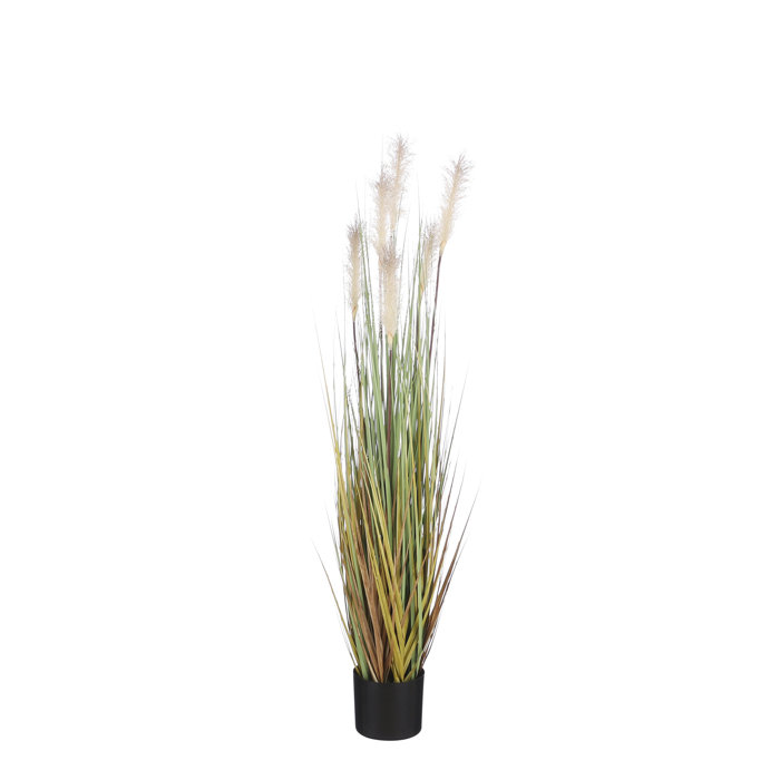 The Seasonal Aisle Artificial Pampas Grass in Pot Wayfair.co.uk